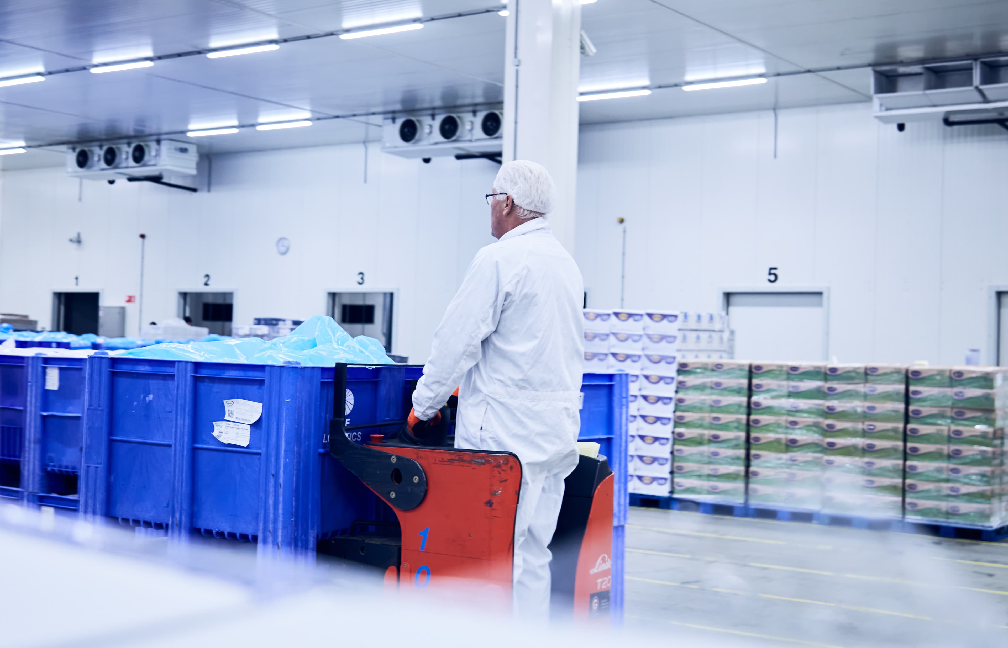 Worker inside cold chain warehouse.